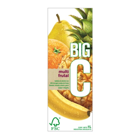 JUGO BIG CMULTIFRUTA 200 ML